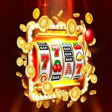 6033bet